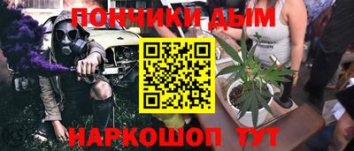 индика Гудермес