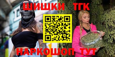 индика Гудермес