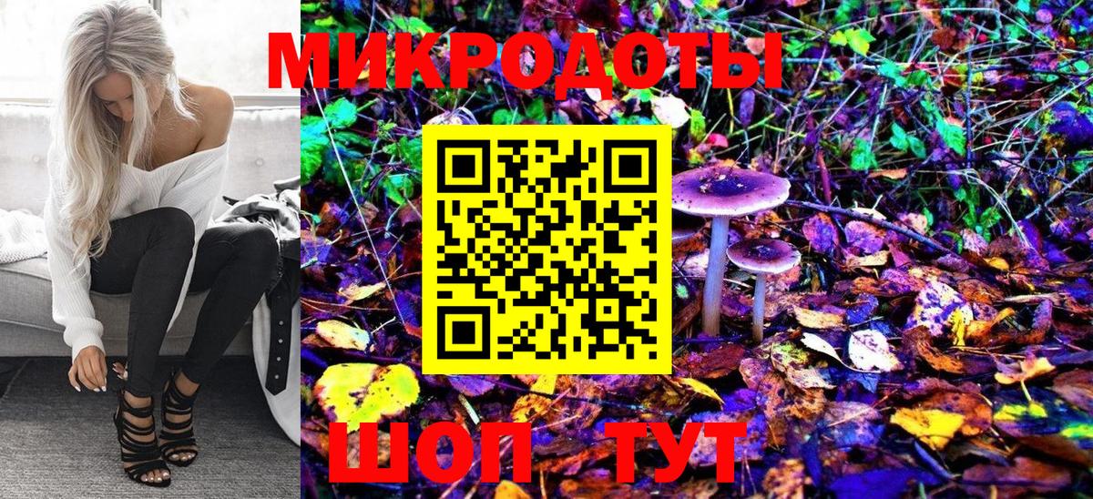 Долгопрудный  Галлюциногенные грибы Psilocybine cubensis  Вход с VPN 