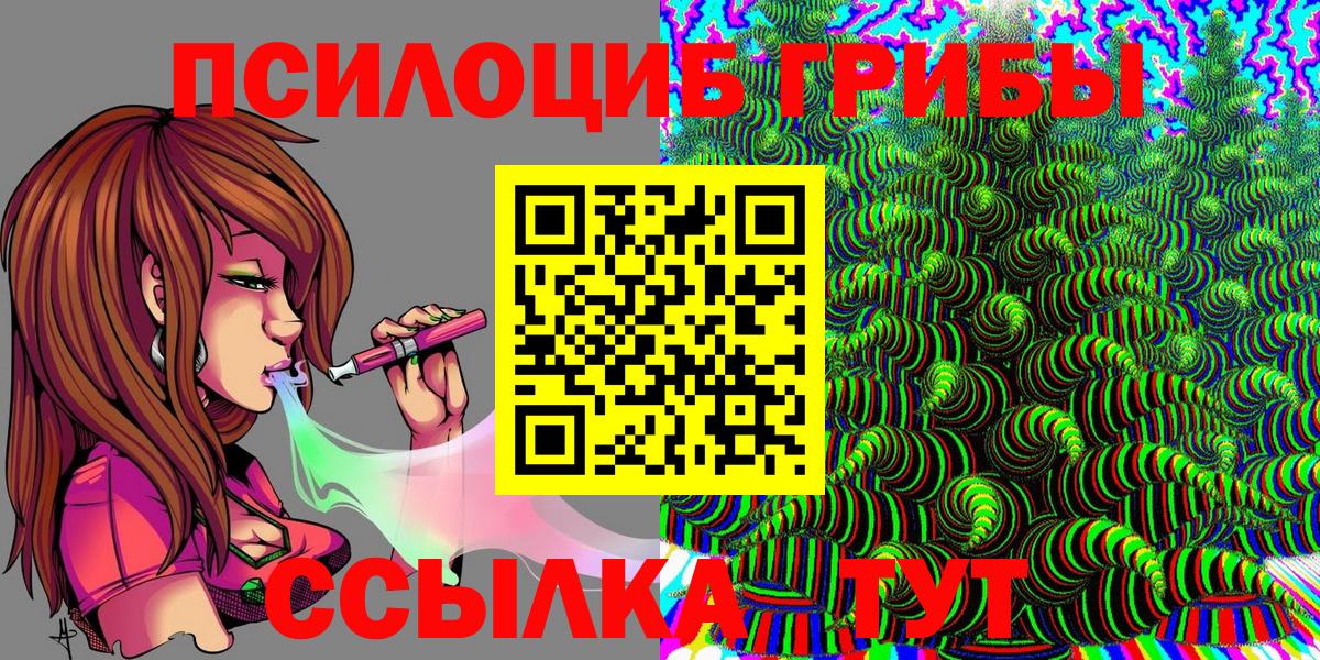 Галлюциногенные грибы Psilocybe Долгопрудный